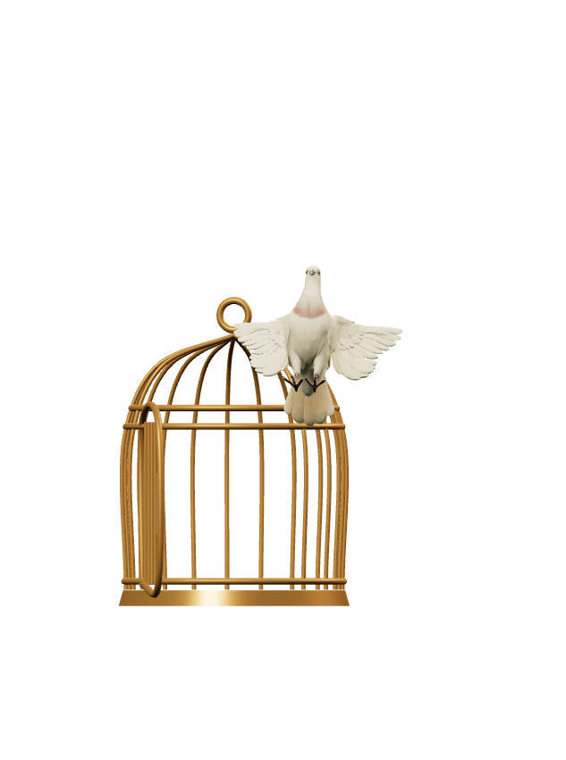 An ivory pigeon flying free from an open brass cage